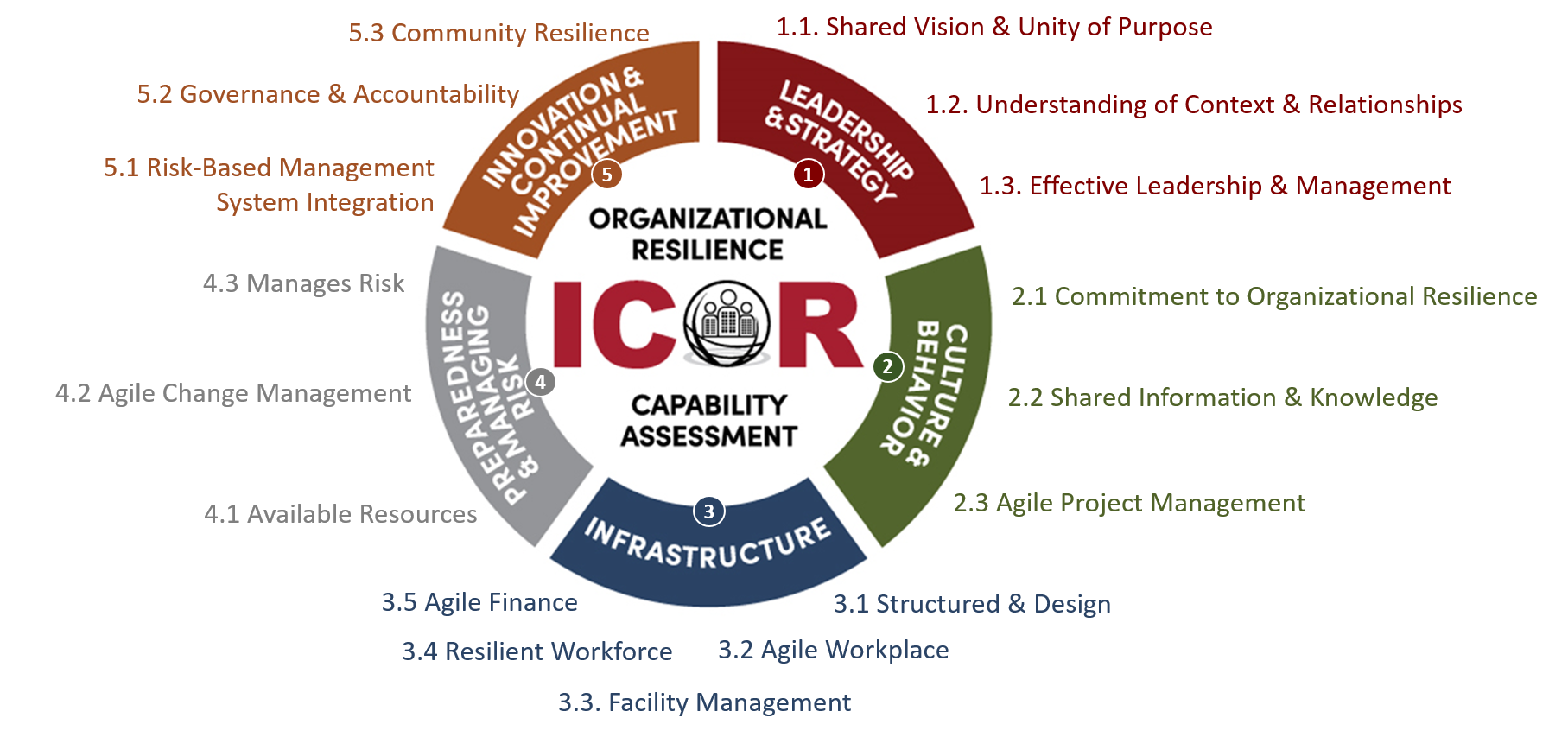 Capability Assessment Information